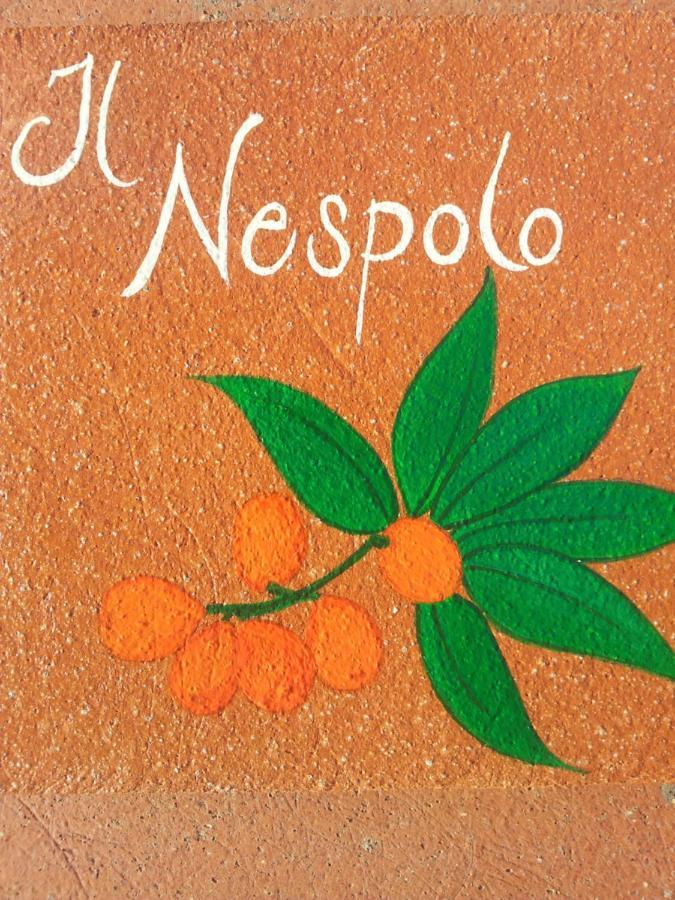 Appartamento Il Nespolo Pomonte Eksteriør bilde
